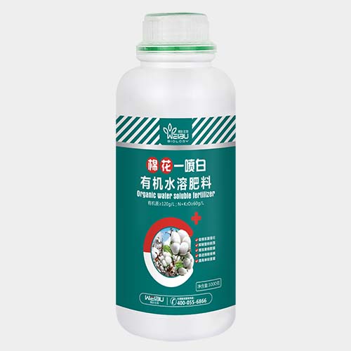 棉花一喷白